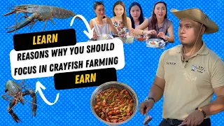 Reasons why you should focus in Australian Redclaw Crayfish Farming and Food Review