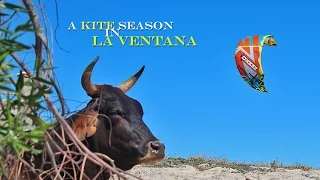 A kite season in La Ventana, Baja California (by Kitesurf Vacation Mexico)