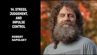 14. Stress, Judgement, and Impulse Control - Robert Sapolsky