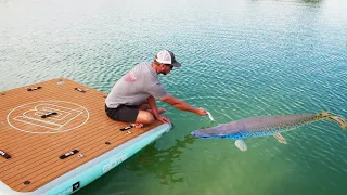 Feeding Pet Alligator Gar on New Inflatable Dock!