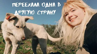 переезд в Турцию из России 🌻🌍/ что будет дальше в России? переход в эру Водолея