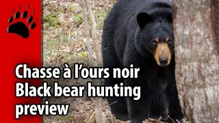 Super preview de chasse à l’ours noir printemps 2016 - Nice spring black bear hunting preview