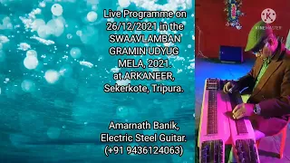 Ami Chinigo Chini | Rabindra Sangeet | Live Performance by Amarnath Banik.