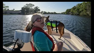 Crystal River and Homosassa, there's an island with monkeys!