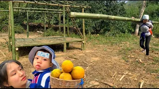 Single mother, 17 years old -building a bamboo house - cold -sick child -picking grapefruit to sell