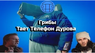 Грибы - Тает Телефон Дурова (Тает Лёд) RYTP