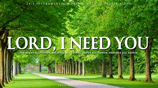 LORD, I NEED YOU | Instrumental Worship and Scriptures with Nature | Inspirational CKEYS