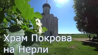 Почему Покрова на Нерли - самый красивый храм России? Интересные факты