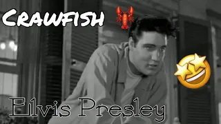 ELVIS PRESLEY-CRAWFISH FROM KING CREOLE |REACTION