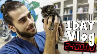 KITTEN ATTACK! ( '1 Day In Veterinary' Vlog! )