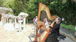 A Thousand Years - Harp and Violin