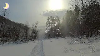 Современный отшельник. Сказочный лес не отпускает.