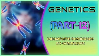 GENETICS (PART-12)//12th CLASS// +2 SCIENCE// NCERT// CBSE// CHSE// NEET // OUAT// AIIMS