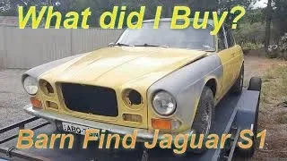 EP1 Yellow 1970 XJ6 series 1 Bought sight unseen.