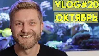 vlog #20 | морской аквариум | рыбки в морском аквариуме