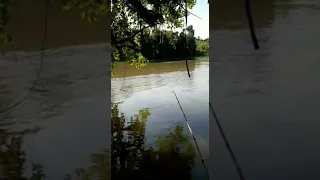 Corte de cabelo Radical Rio Paraíba (parte 2)