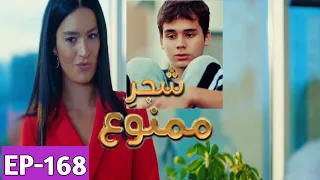 Shajar-e-Mamnu Episode 168 Promo | Turkish Drama | Forbidden Fruit | Urdu Dubb| 30July 2021 | Part-1