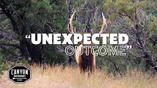 Unexpected Outcome | Arizona Archery Bull Elk Hunt