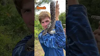 Definitely not ￼ a smart move #youtubeshorts#rattlesnake#wildlife#snake