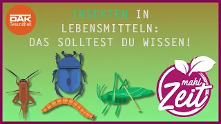 Insekten in Lebensmitteln | #mahlZeit | DAK-Gesundheit