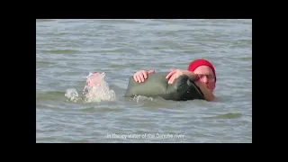 11 mn long bath in the icy Danube water!