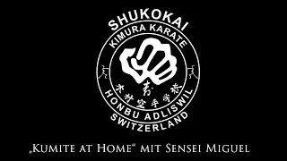 KSI Adliswil Home Kumite mit Sensei Miguel