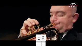 The Highest Notes Ever Hit on Trumpet: The Squeak-quel