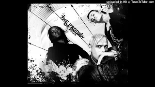 The Prodigy feat. Shahin Badar & Twista & Juliette Lewis - Get Up Get Off (Alternate Version) [2004]