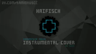 Rammstein - Haifisch (instrumental cover) [Rammstein: Paris]