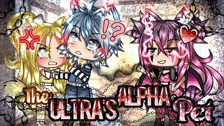 💢The Ultra's Alpha Pet 🔥GLMM (original storyline) gacha life