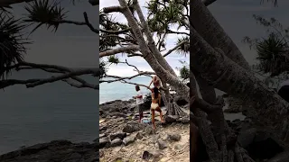 Another arvo walk in the Noosa National park Travis Fimmel