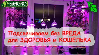 ЭТО СКРЫВАЮТ БЛОГЕРЫ и ПРОИЗВОДИТЕЛИ! ФИТОЛАМПЫ - это рак, диабет, сердечные заболевания и ожирение!