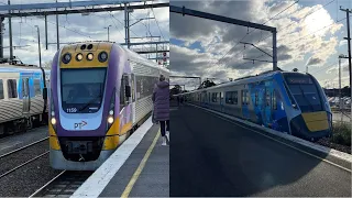 Trains at Pakenham + Main St, McGregor Rd and Racecourse Road level crossing removal updates