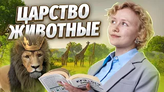 Царство животные | Что нужно знать для ОГЭ?