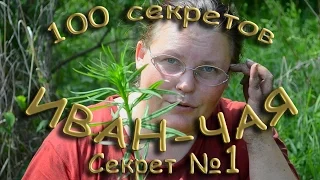 100 секретов иван чая СЕКРЕТ 1