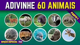 Adivinhe 60 Animais | Nível Fácil, Médio e Difícil