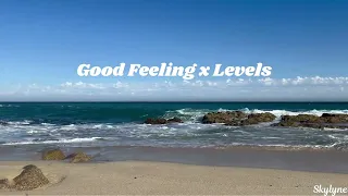 Good Feeling x Levels Mashup