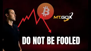 MT GOX BITCOIN CRASH : Listen to this and what the reality is