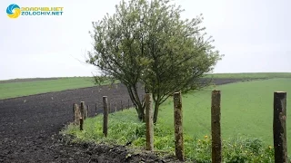 У Золочівському районі сусіди побилися через межу на городі