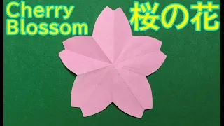 【簡単折り紙】桜の花 Easy Origami Cherry Blossom