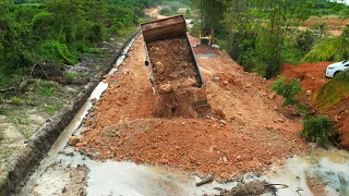 Part 3 Skill Operator Bulldozer Working Build Foundation New Road Connecting Plantation Construction