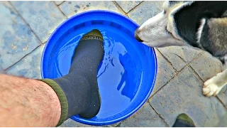 Waterproof Socks - Do They Work?