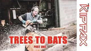 From Trees to Cricket Bats   - Part One How We Produce Clefts