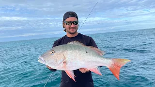 Patch reef fishing is HOT! Mutton Snapper Spaghetti Catch & Cook