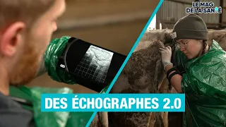 🐄 ÉCHOGRAPHIE d'une vache 4/5 - Allo Docteurs