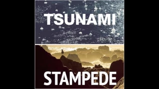 Stampede vs Tsunami