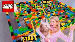 Kot vs Największy Labirynt z LEGO!