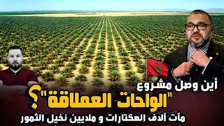 أين وصل مشروع القرن "الواحات العملاقة" ... ملايين النخيل ستجنب المغرب إستيراد ثمر الجزائر