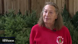 Climate change to blame for Christmas tree shortage