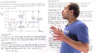 Lung Capacity and Volume